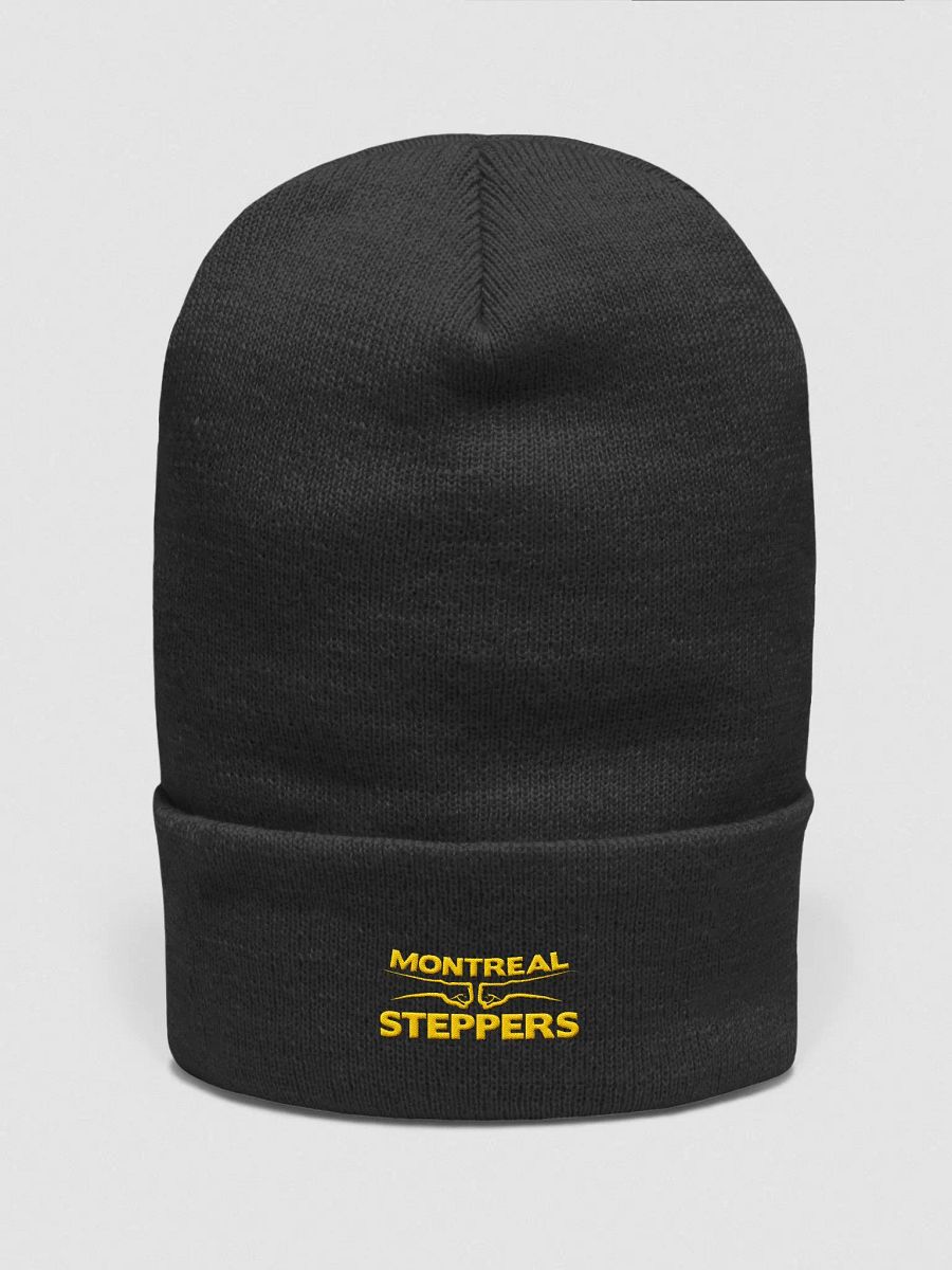Montreal Steppers Beanie product image (1)
