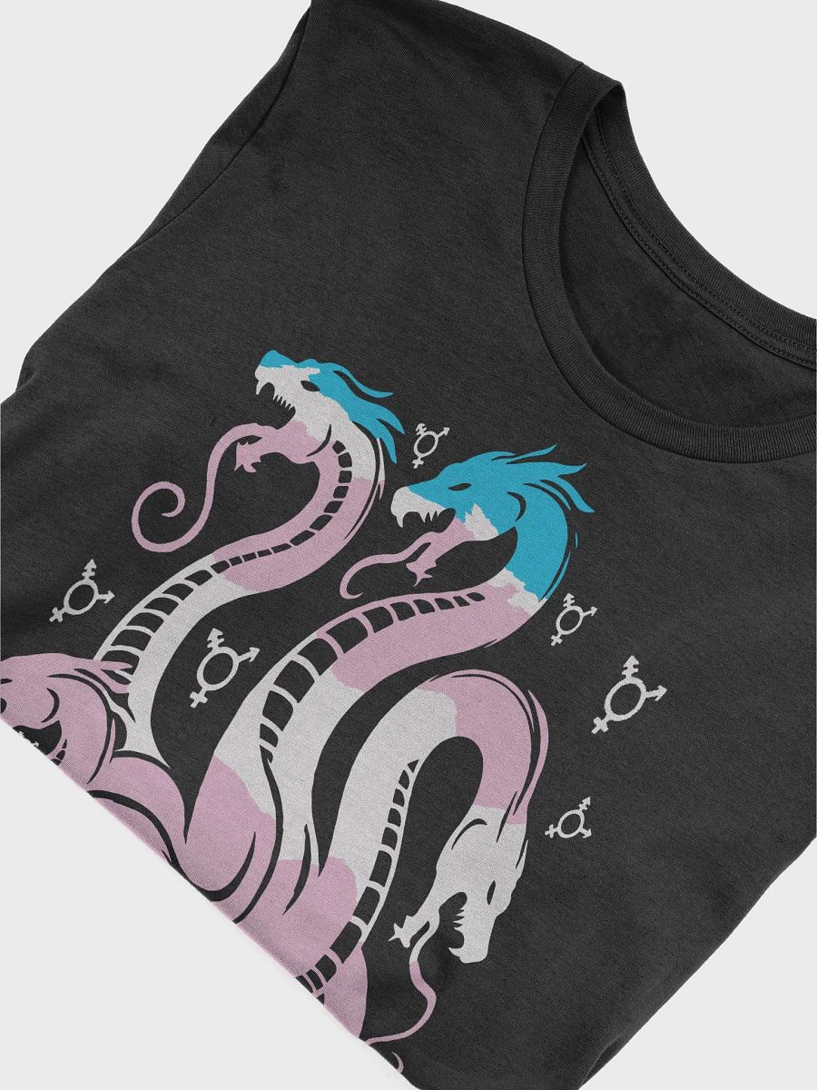 Queerdra Shirt product image (5)