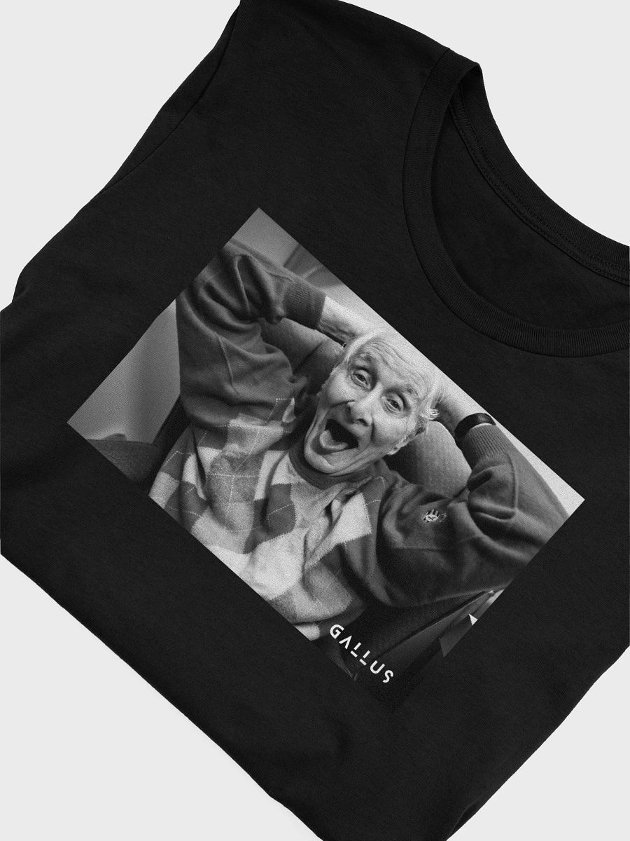 Gallus T-Shirts - Ronnie Biggs London by Brian Anderson product image (5)