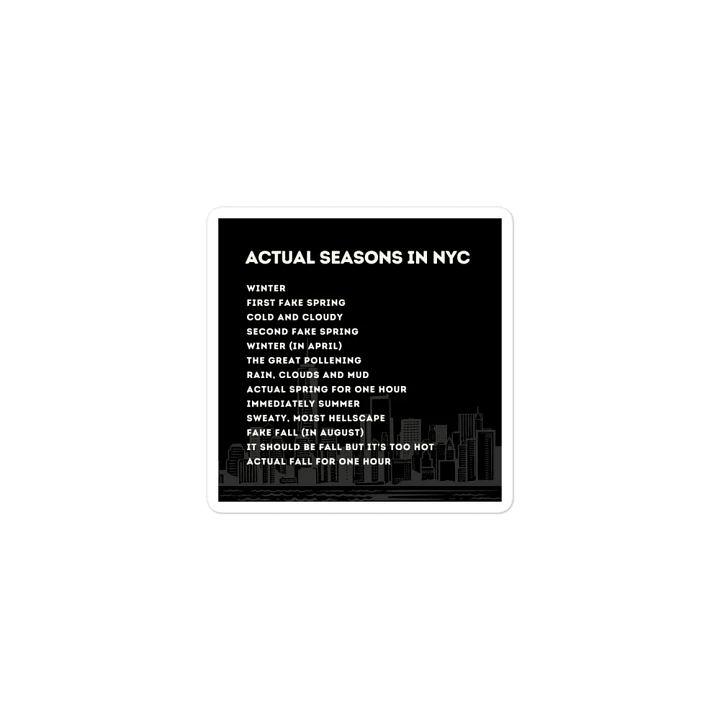 Actual Seasons in NYC Magnet product image (1)