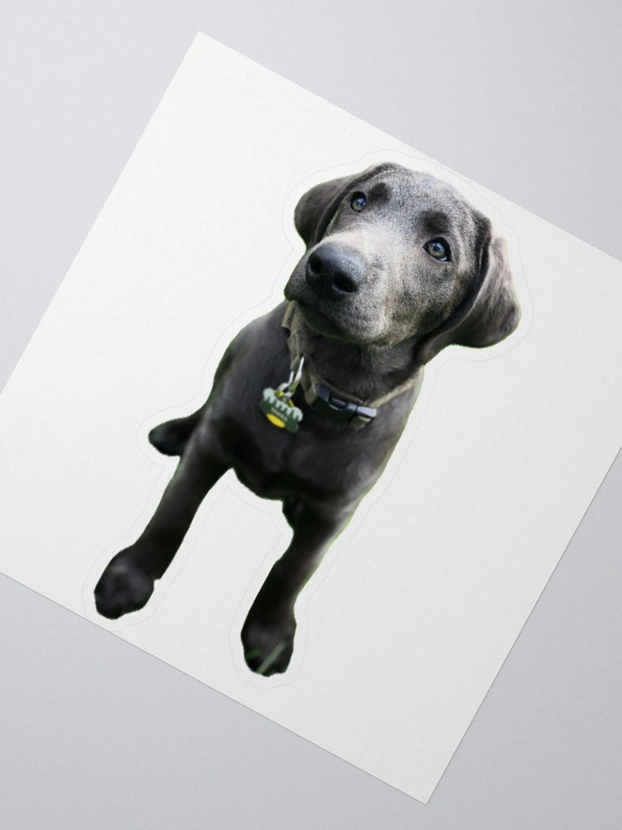 Sokka sticker product image (2)