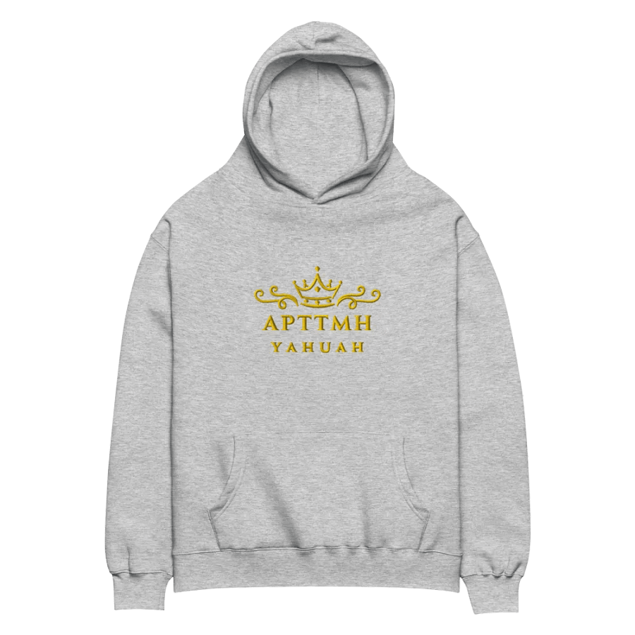 Radiant Words Oversized Hoodie product image (2)
