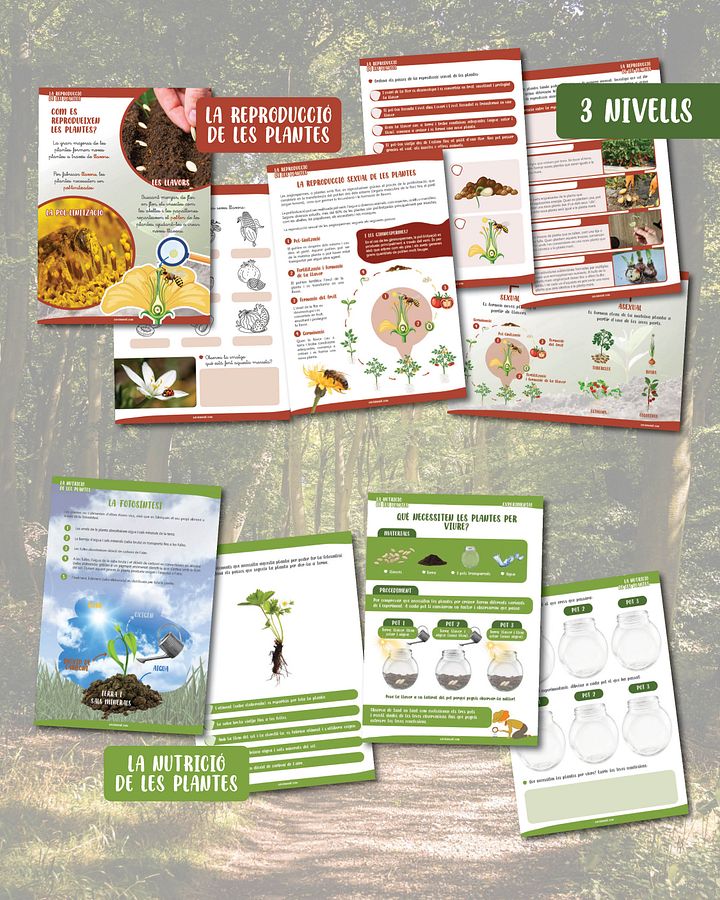 Les plantes: multinivell product image (2)