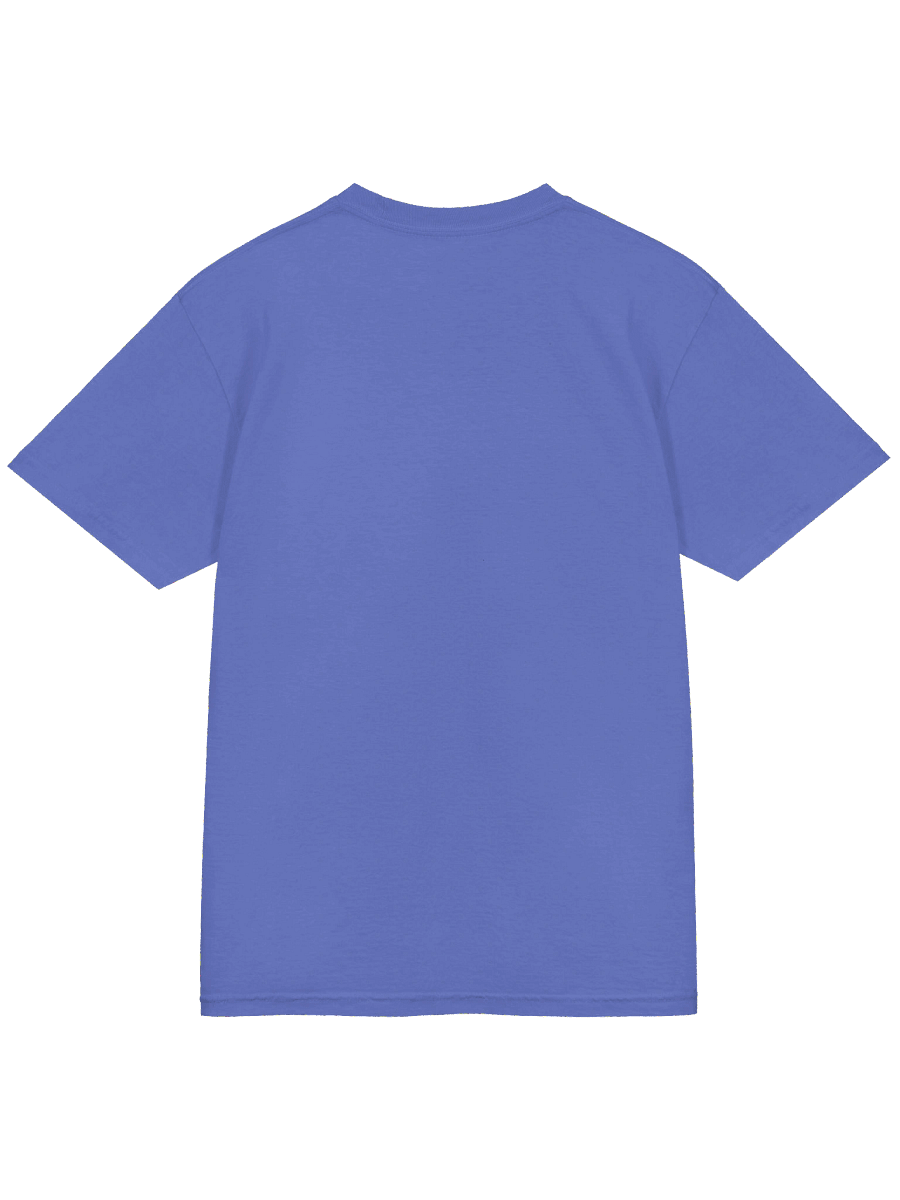 Dreamworld Radar T-Shirt product image (16)