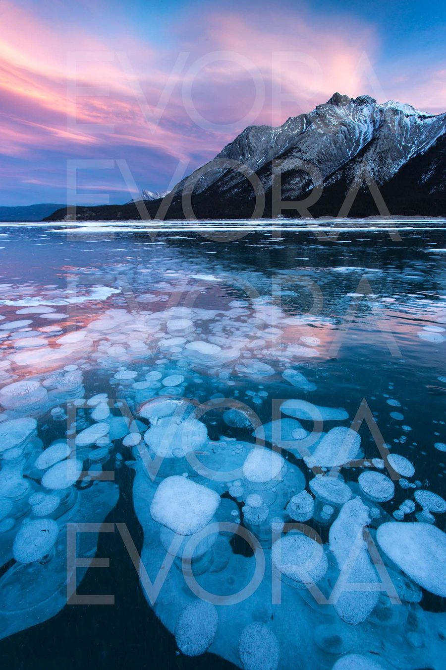 Abraham Lake Sunrise - Fine Art Print - Framed product image (61)