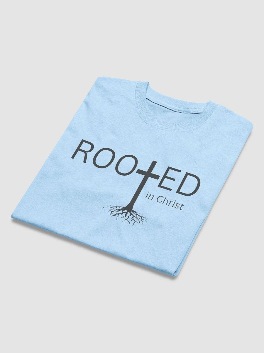 Rooted in Christ T-shirt product image (28)