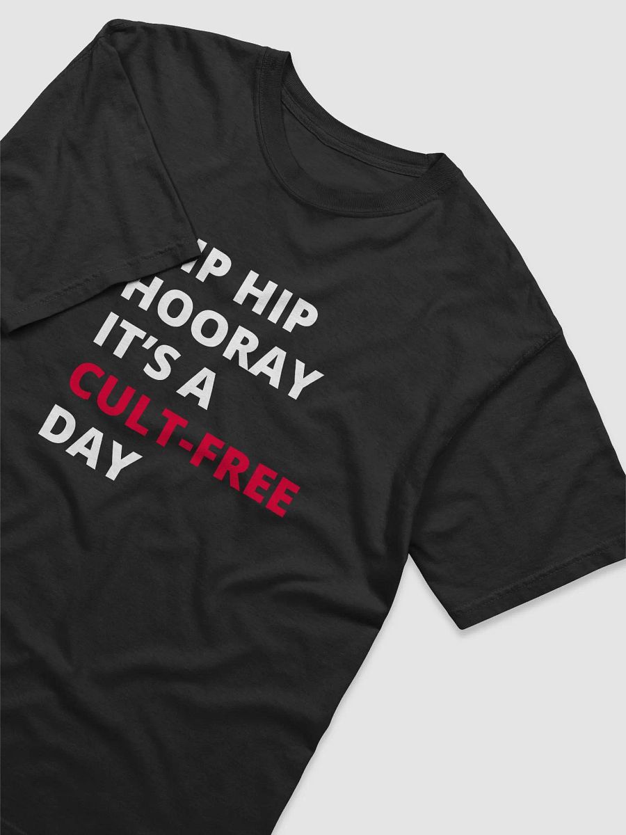 Hip Hip Hooray It's a Cult-Free Day T-shirt Men's Black product image (3)