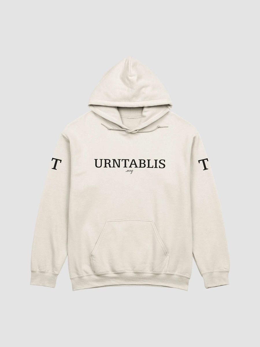 T-URNTABLIS-T .org Hoodie (Black Font) product image (1)