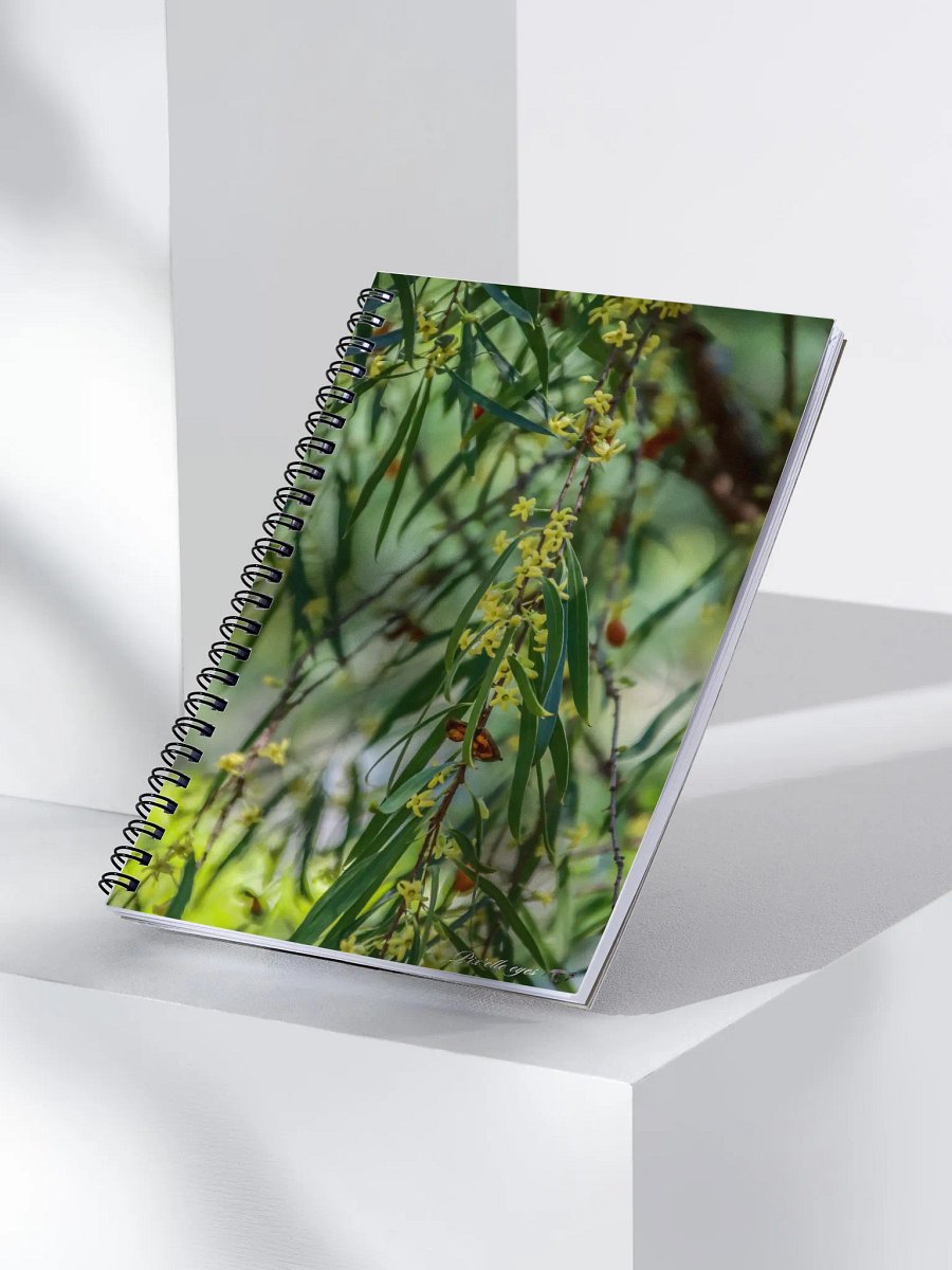 📓 Notebook Collection PURE – Jardin du Rayol – Le Berrigan Pleureur product image (3)