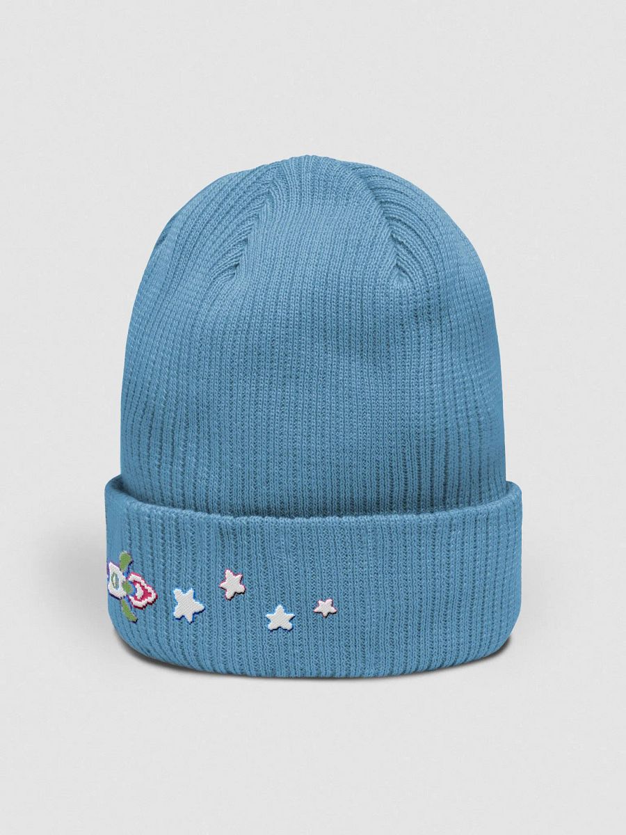 NEW SAVE Beanie product image (6)
