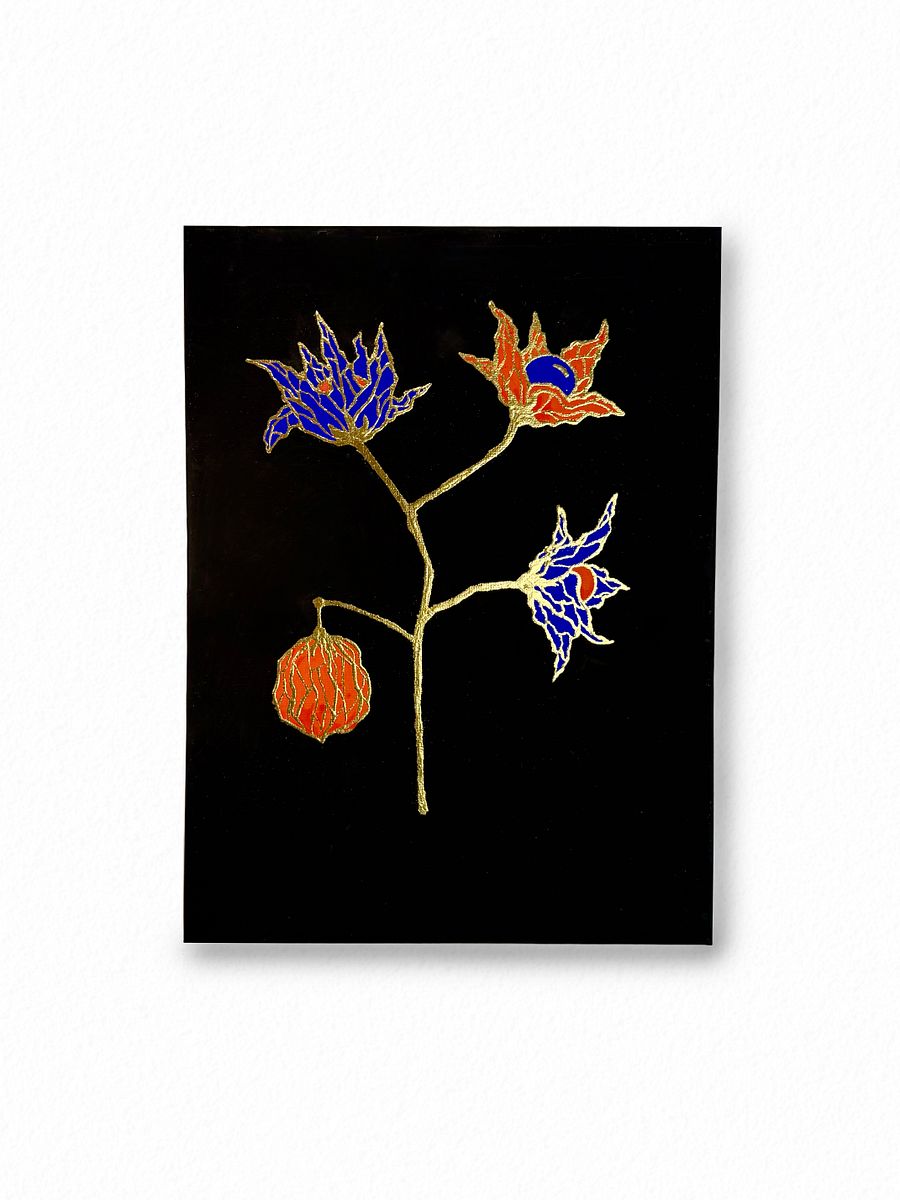 Physalis product image (1)