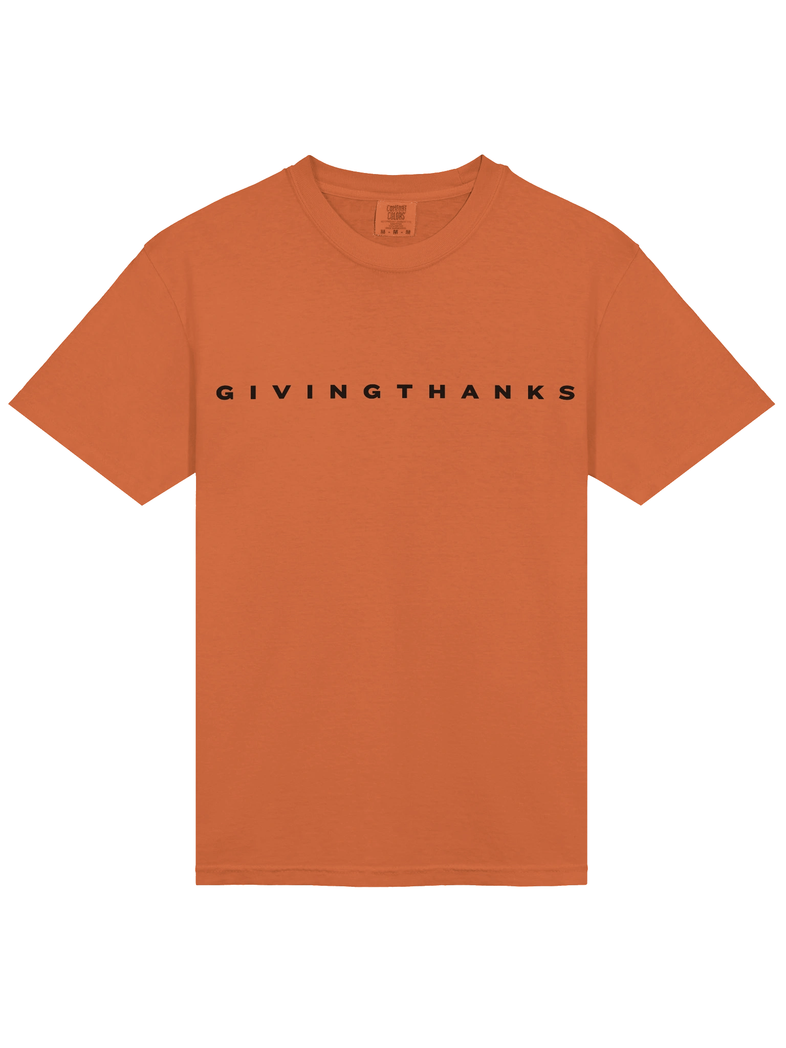 Plain Thanksgiving _ T Shirt product image (3)