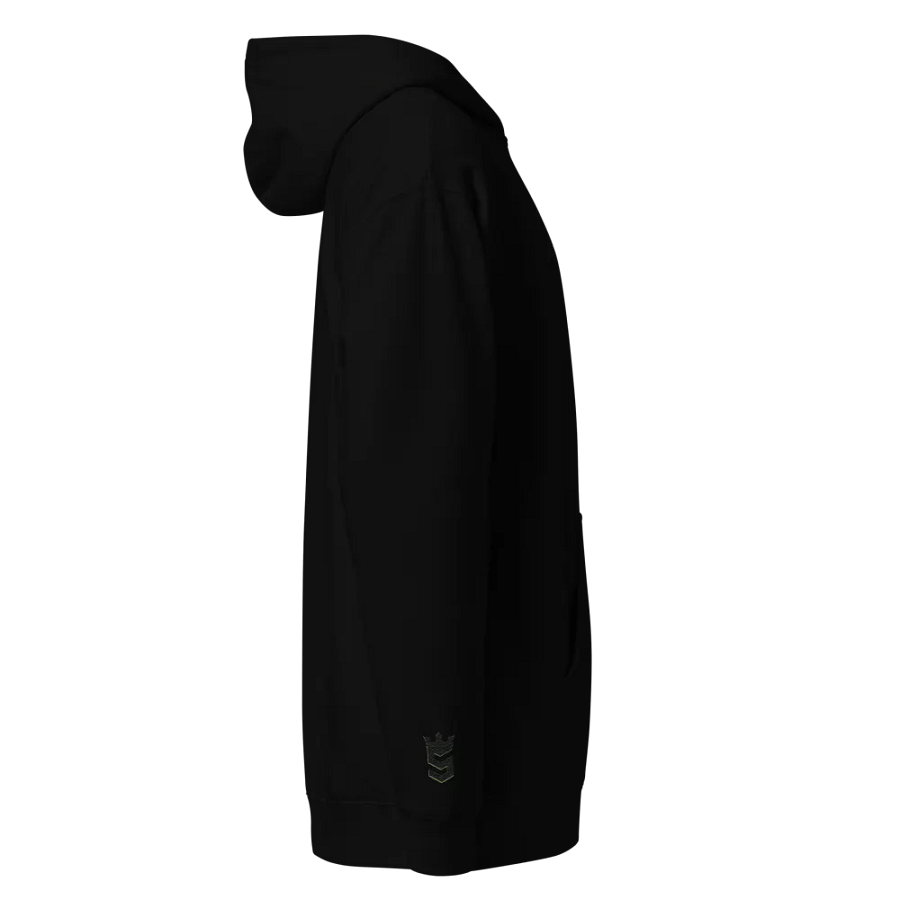 Speedy's Aesthetics Hoodie product image (6)