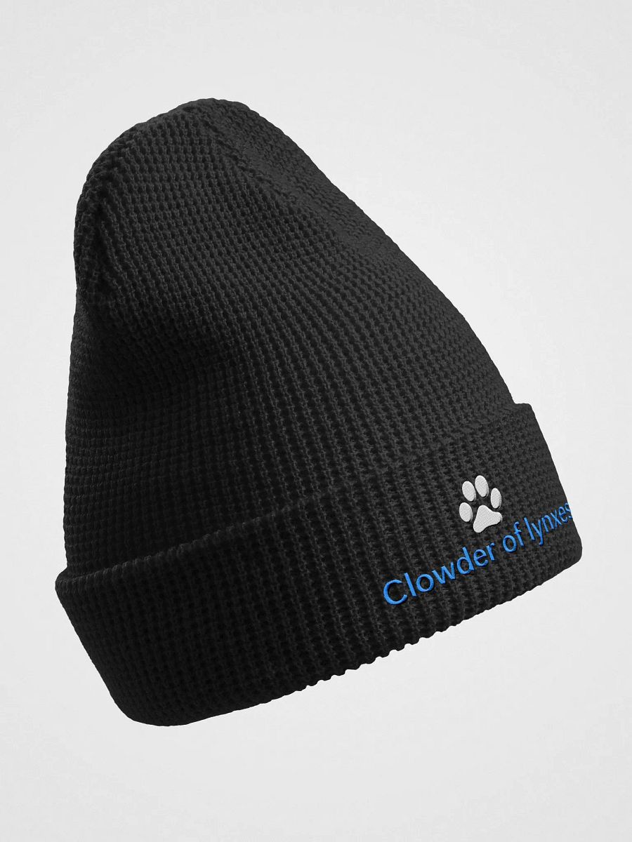 Clowder beanie product image (3)