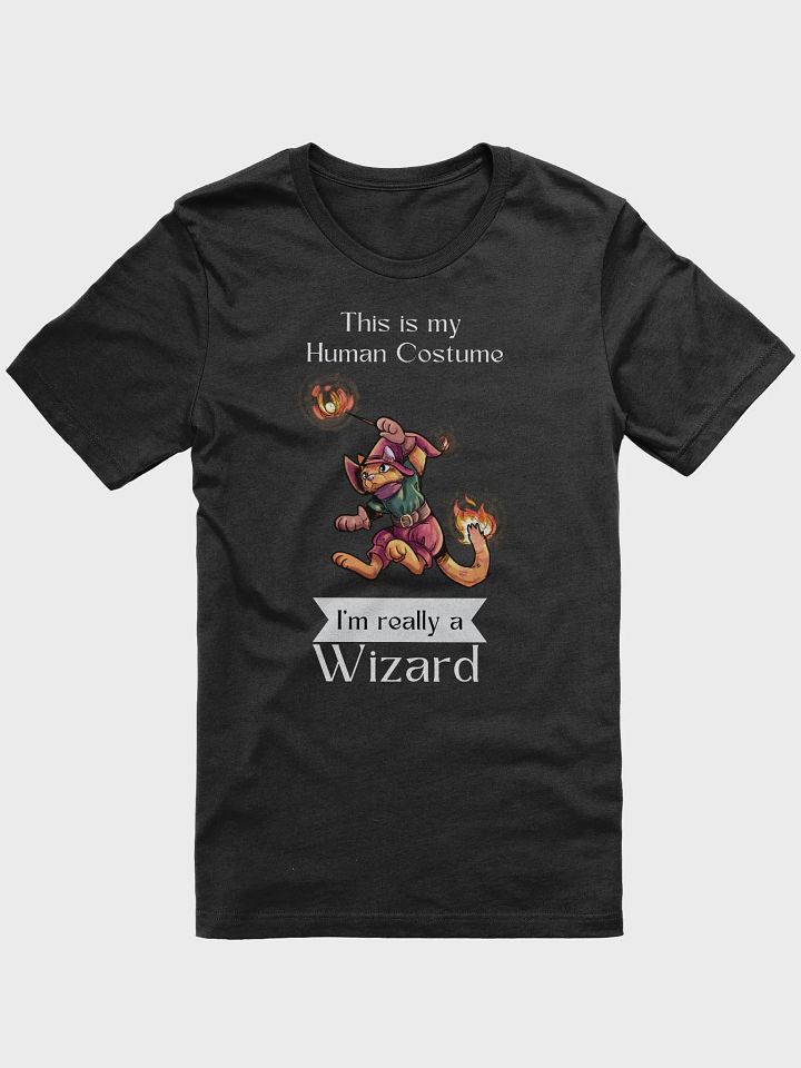 Cat Fire Wizard 'This is My Human Costume' T-Shirt - Whimsical Feline Apparel product image (1)