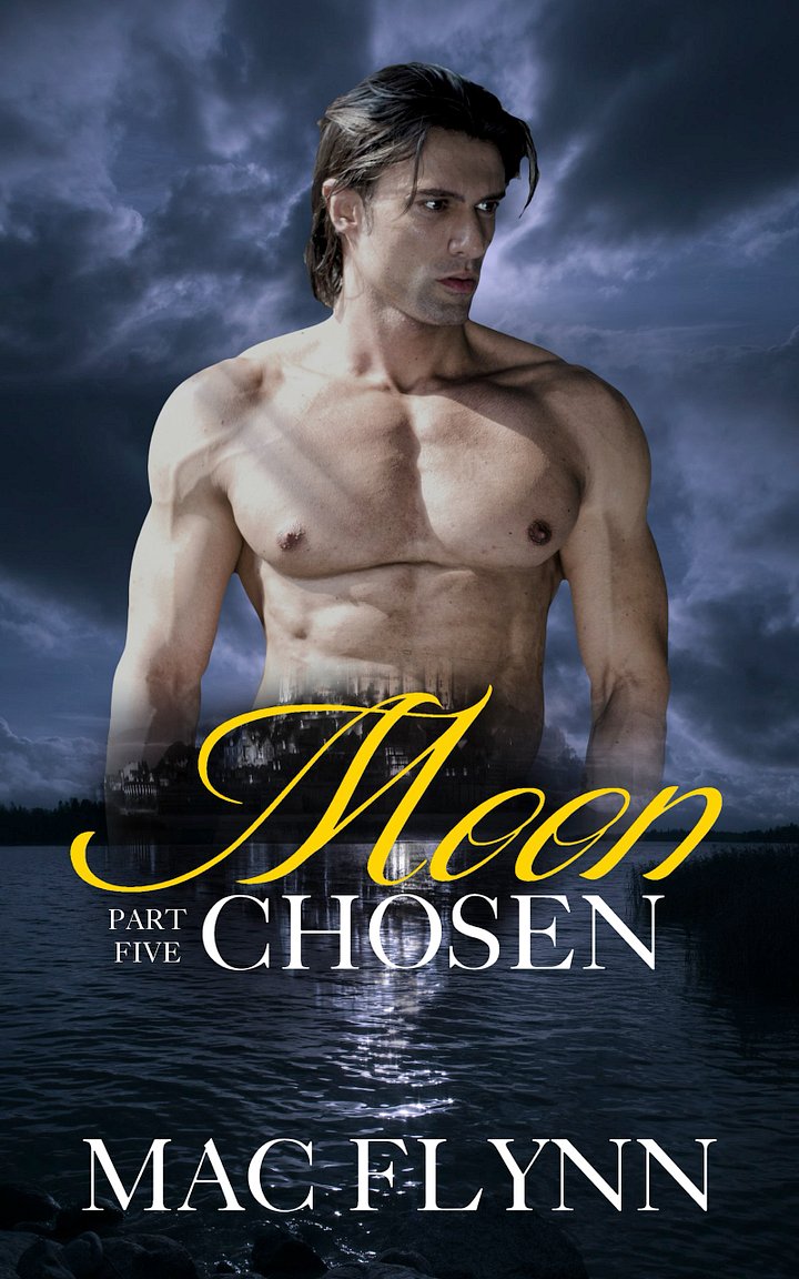 Moon Chosen #5 (BBW Werewolf Shifter Romance) product image (1)