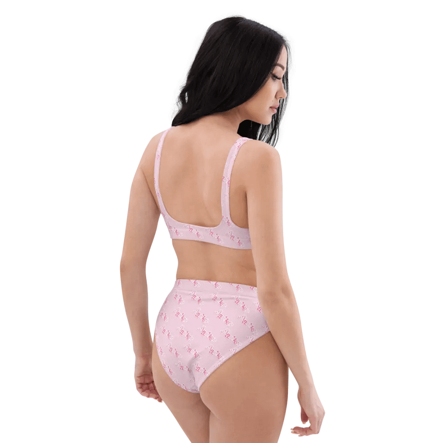 Anarkee High Waisted Bikini product image (5)