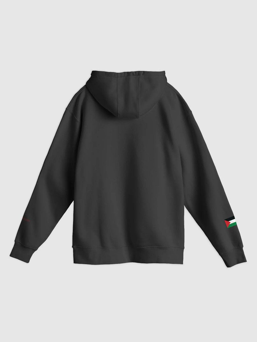Aaron Bushnell - Palestine - Lane Seven Premium Pullover Hoodie product image (6)