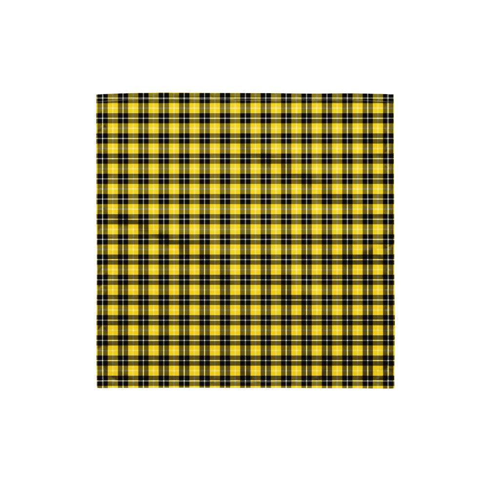 Barclay Tartan Bandana product image (4)