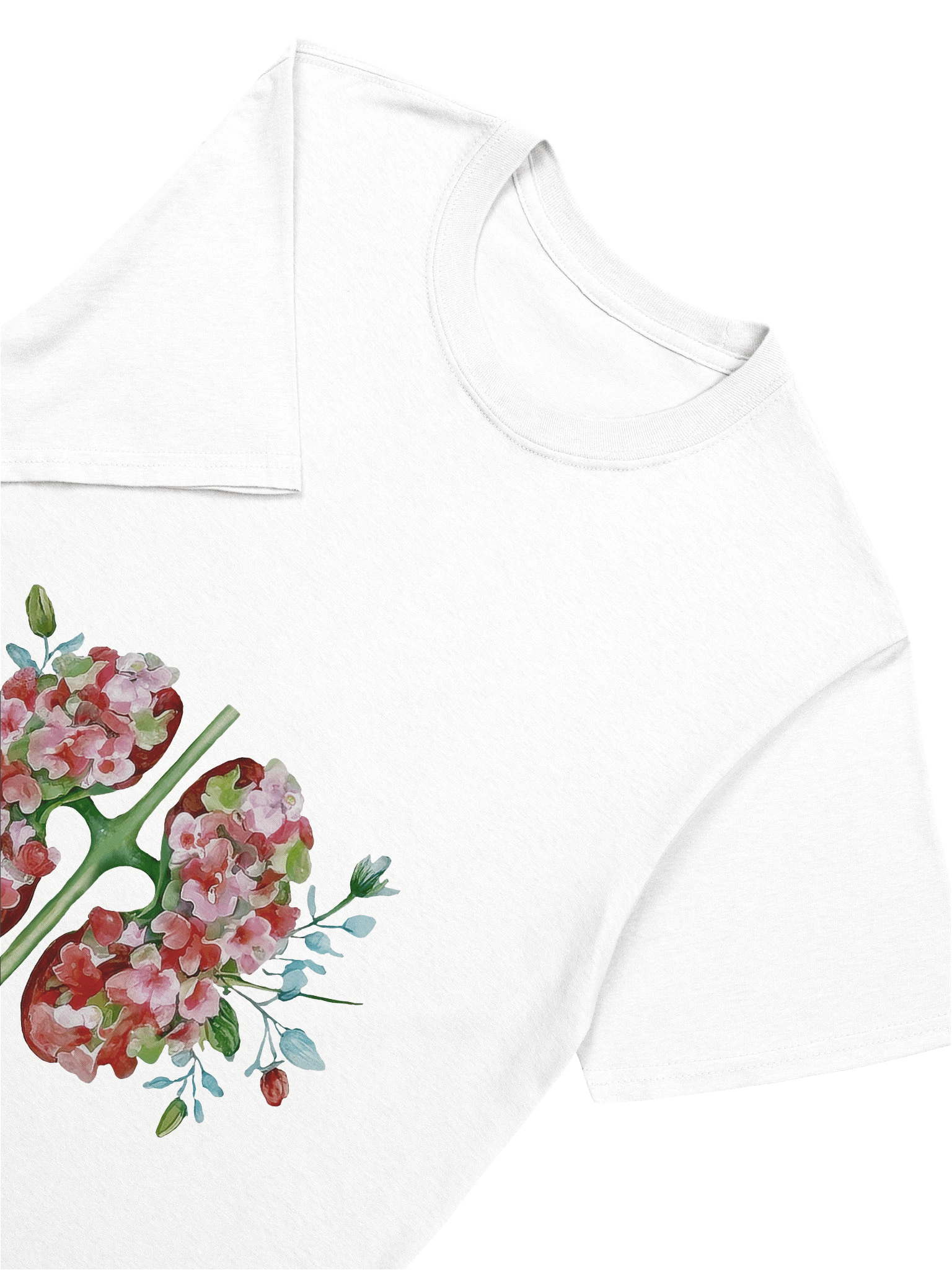 Botanical Anatomy Kidney Illustration product image (5)