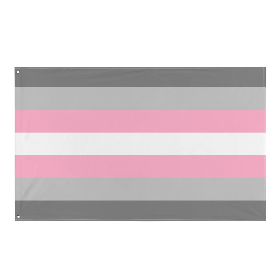 Demigirl Pride Flag product image (1)