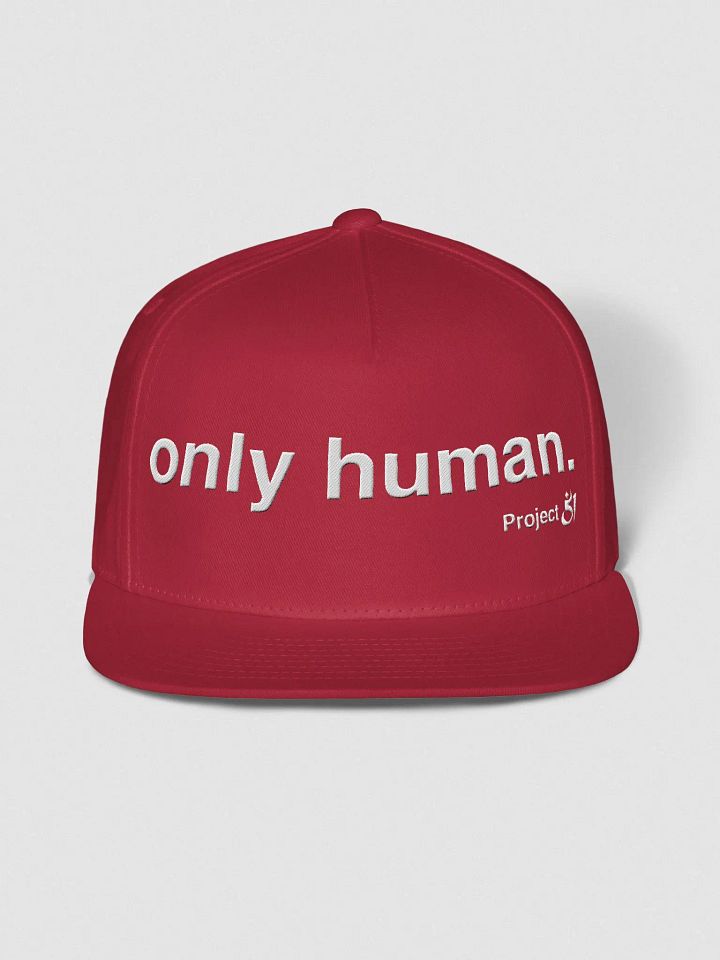 only human. snapback product image (1)
