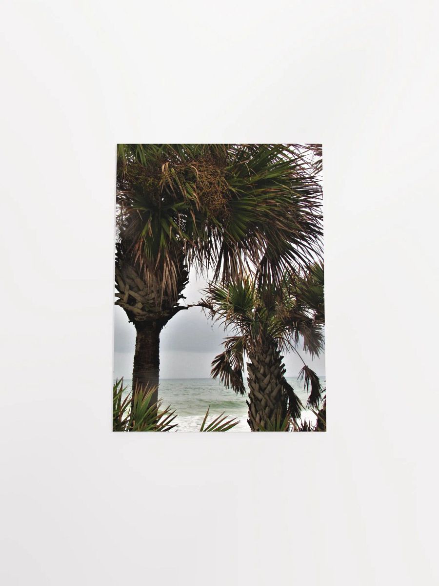 Ormond Beach 3 product image (28)