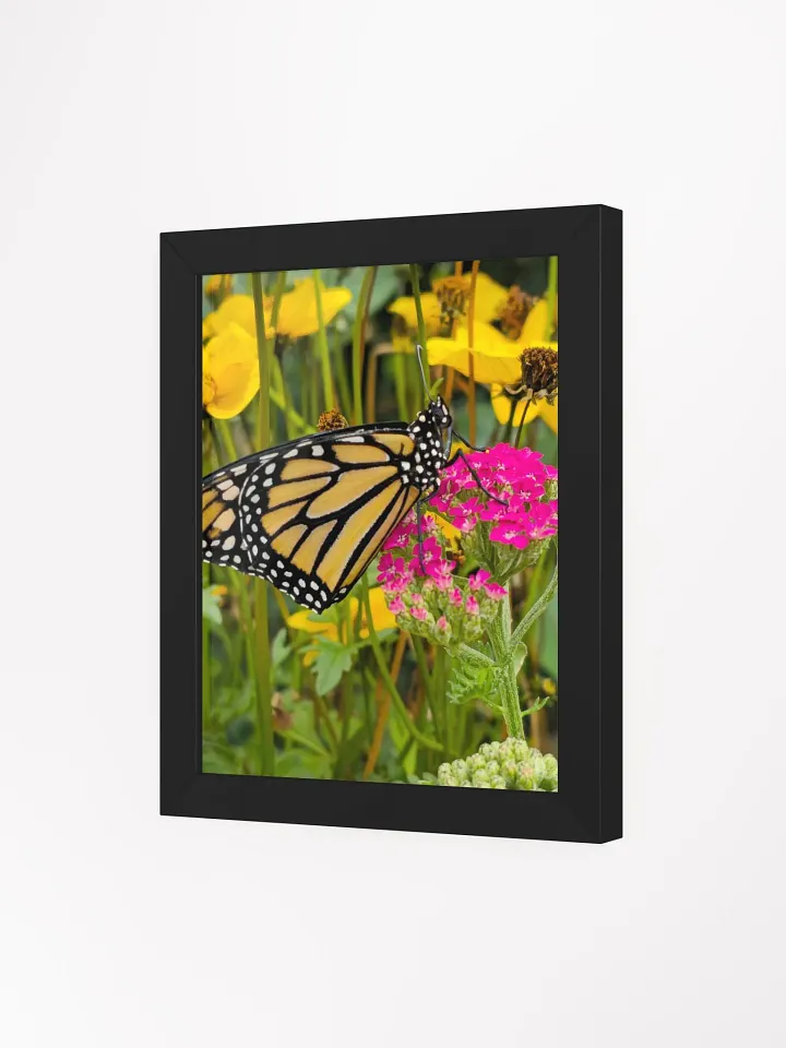 Tropical Monarch Butterfly Framed Matte Poster product image (1)