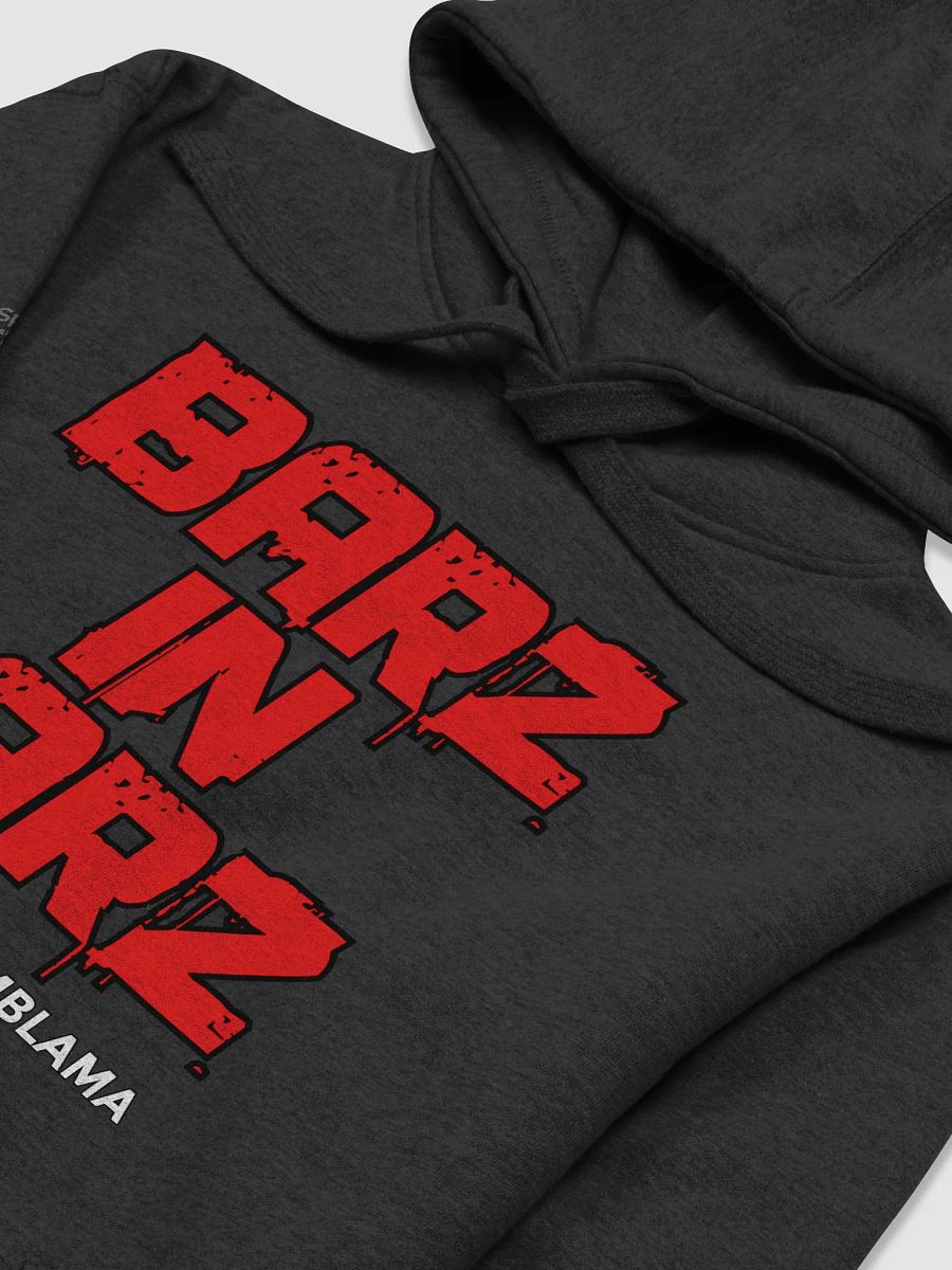 BARZ IN BARZ HOODIE product image (17)