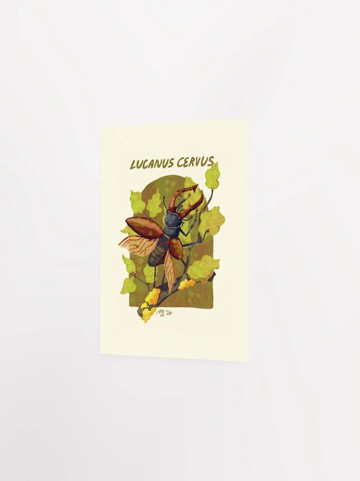 Stag Beetle Print product image (3)