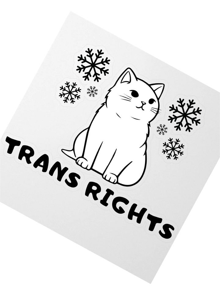 Trans Rights Cat Sticker With Snowflakes product image (2)