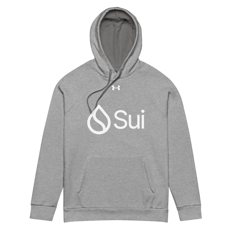 Unisex Hoddie product image (4)