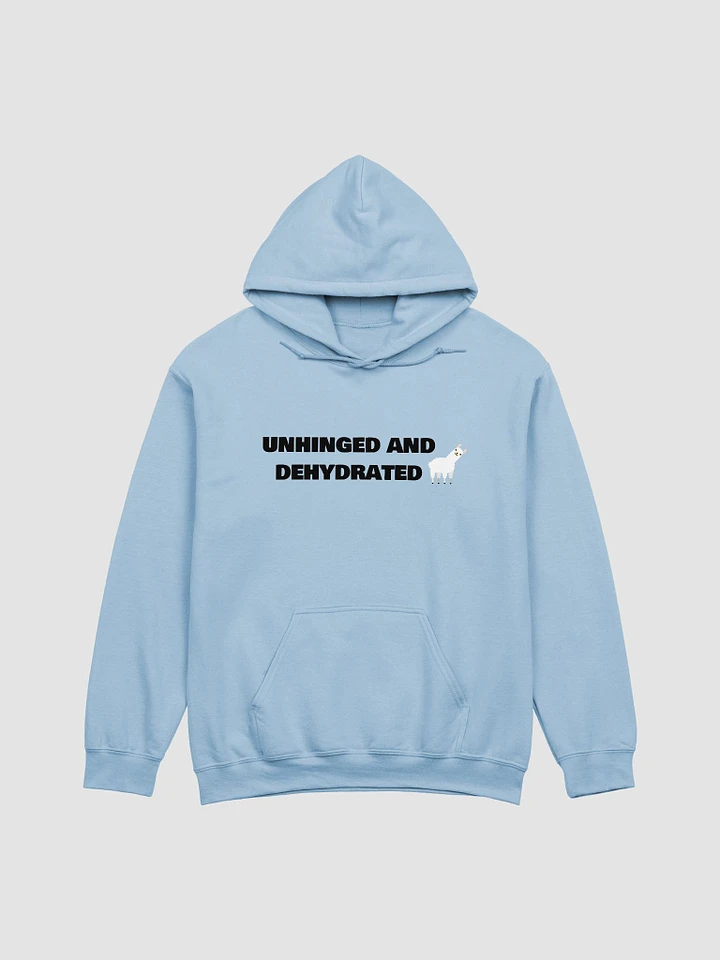 Unhinged & Dehydrated Hoodie product image (3)
