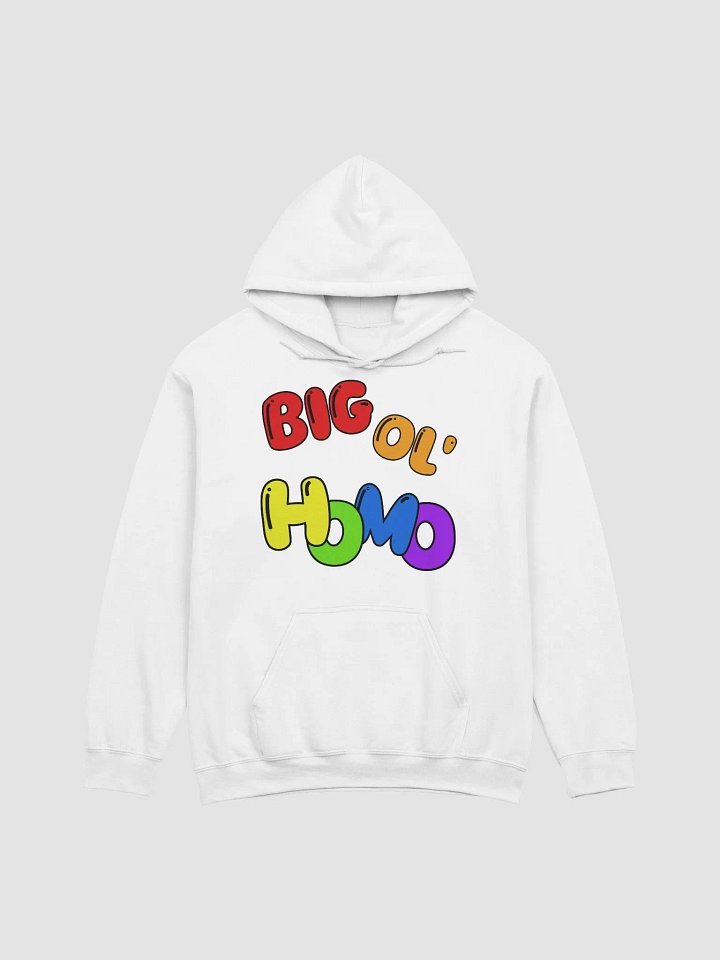 Big Ol' HOMO! Pullover product image (3)