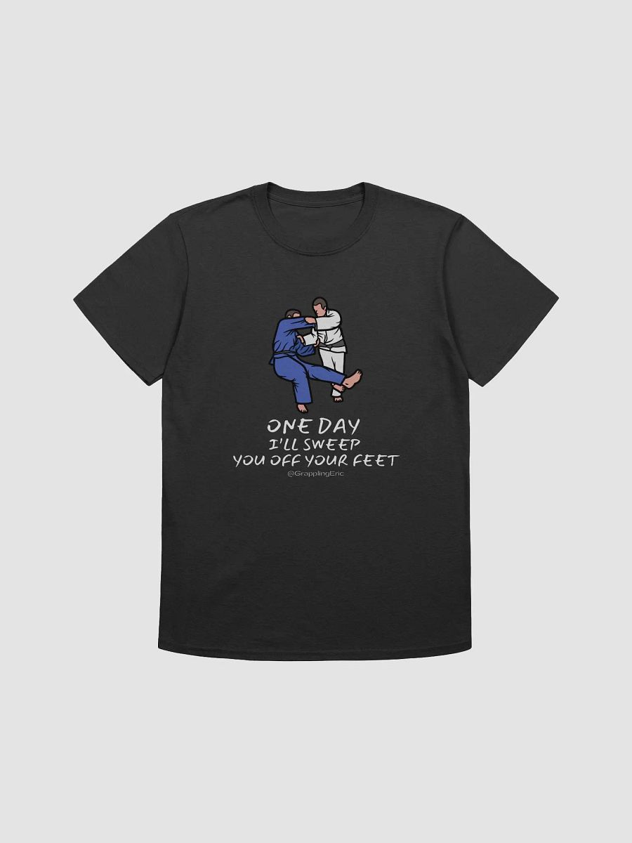 I'll Sweep You - adult - T SHIRT product image (1)