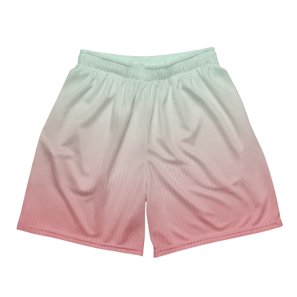 EcoChic Gradient Mesh Shorts product image (2)
