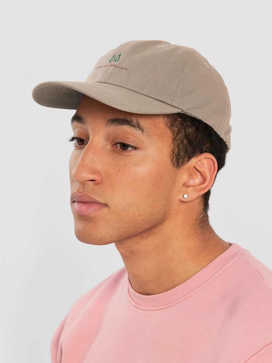 Forest Bridges Dad Cap product image (7)