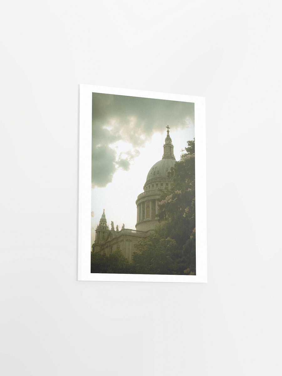 Flowers of St. Paul - Print product image (21)