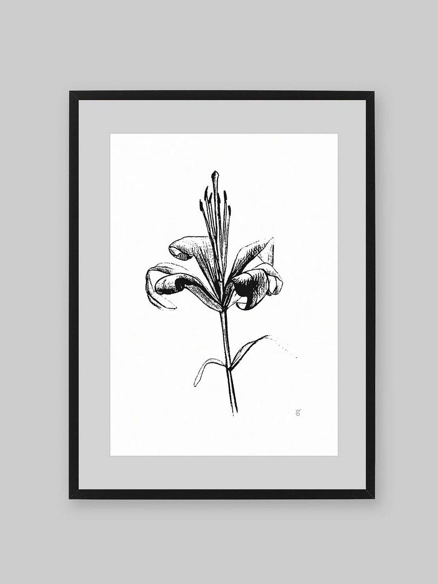 Lily Elegance Poster - Fine Flower Light product image (9)