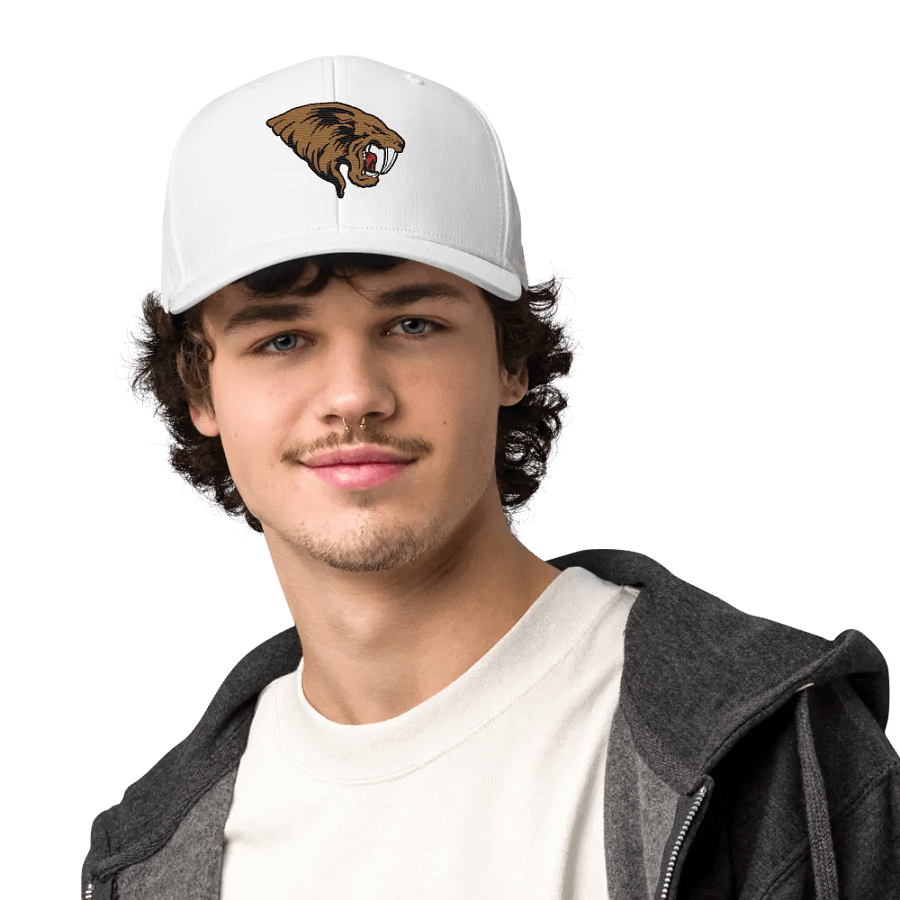 San Jose Sabercats Adidas Performance Hat product image (40)