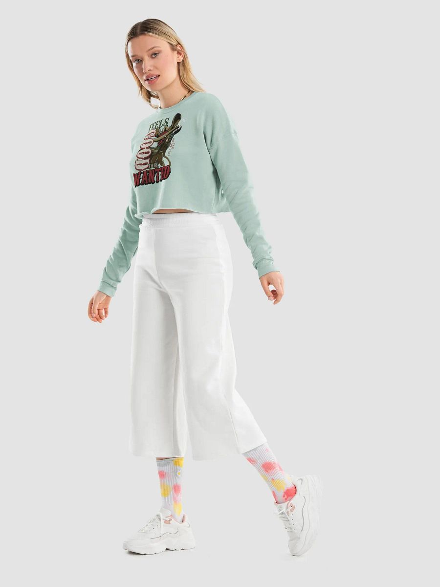 WANTED crop hoodie product image (36)