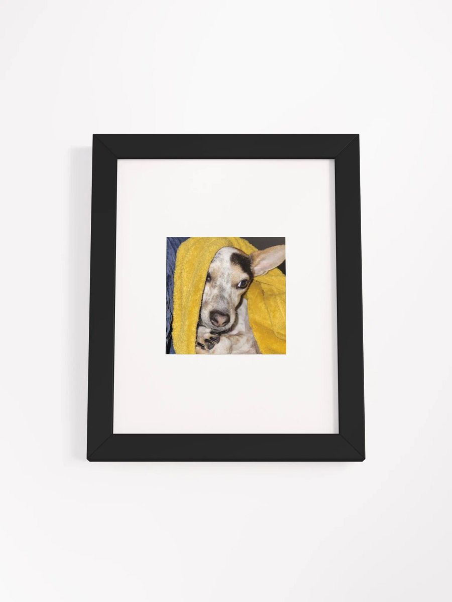 Bronx the Adorable product image (1)
