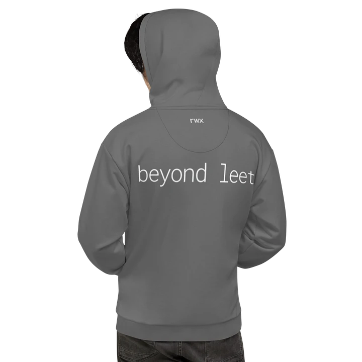 1338, beyond leet hoodie (dark grayscale mode) product image (1)