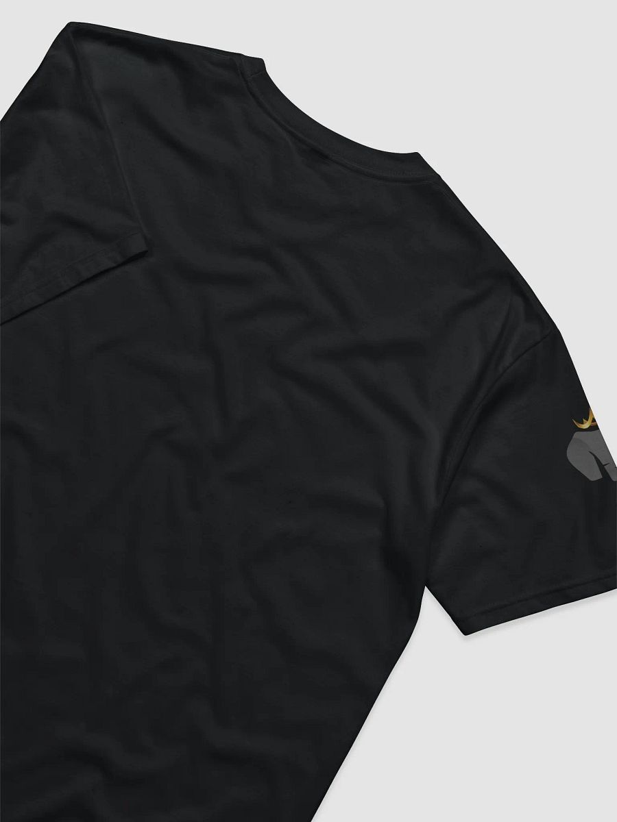 Kempire Pride Econscious Unisex Organic T-Shirt product image (13)