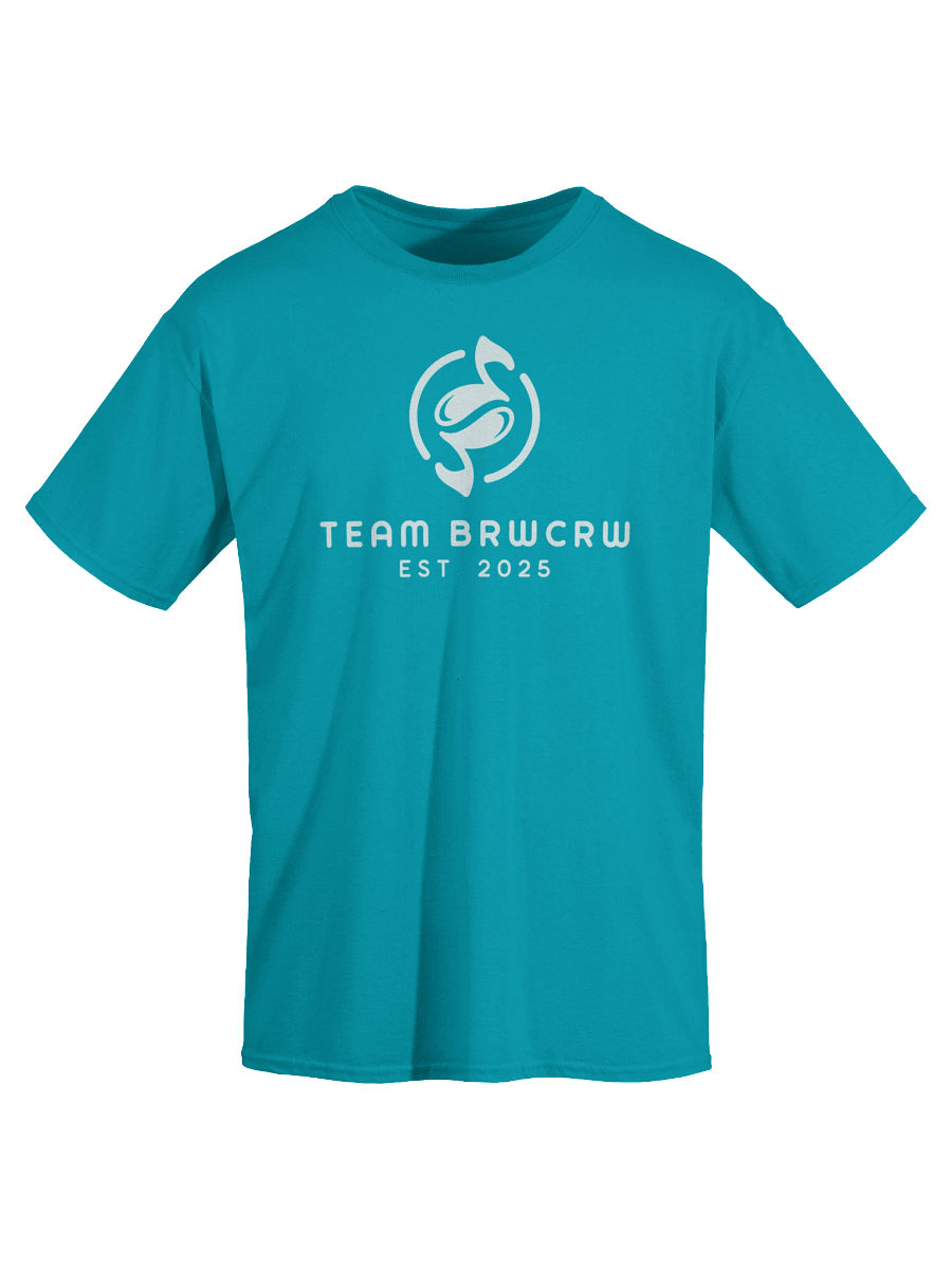 Team BRWCRW Est. 2025 T-shirt product image (28)