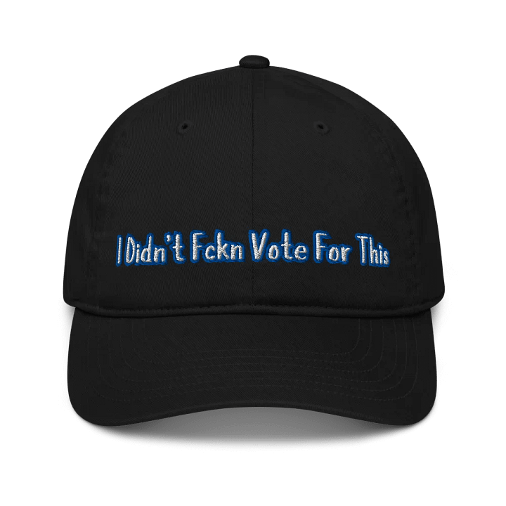 Resistor, I Didn't Fckn Vote for This (words only), NSFW Embroidered Hat product image (1)