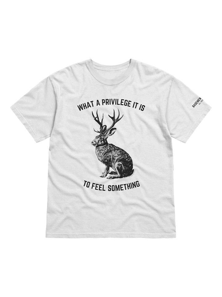 The Privilege of Feeling Something T-Shirt product image (7)