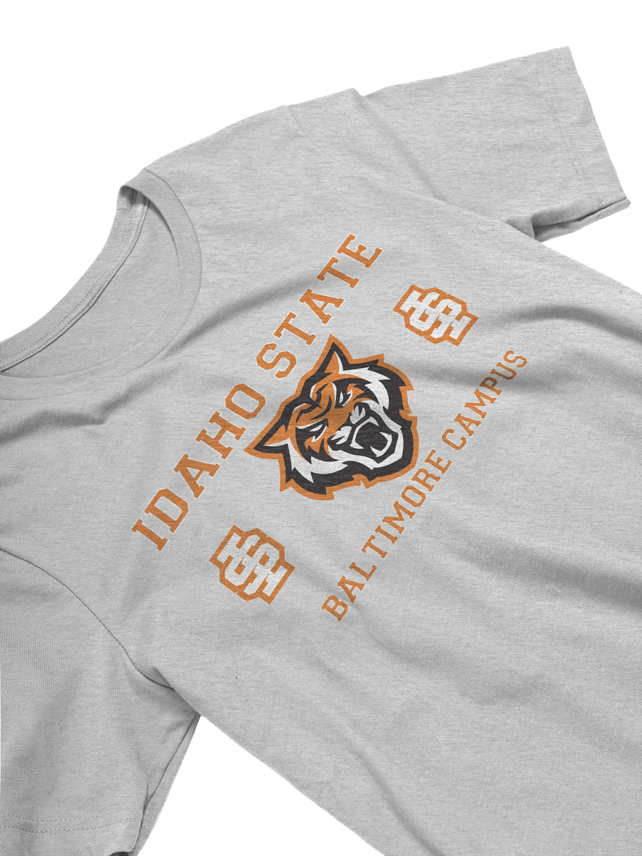 IS - Baltimore product image (2)