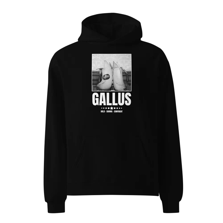 Gallus Hoodies product image (1)