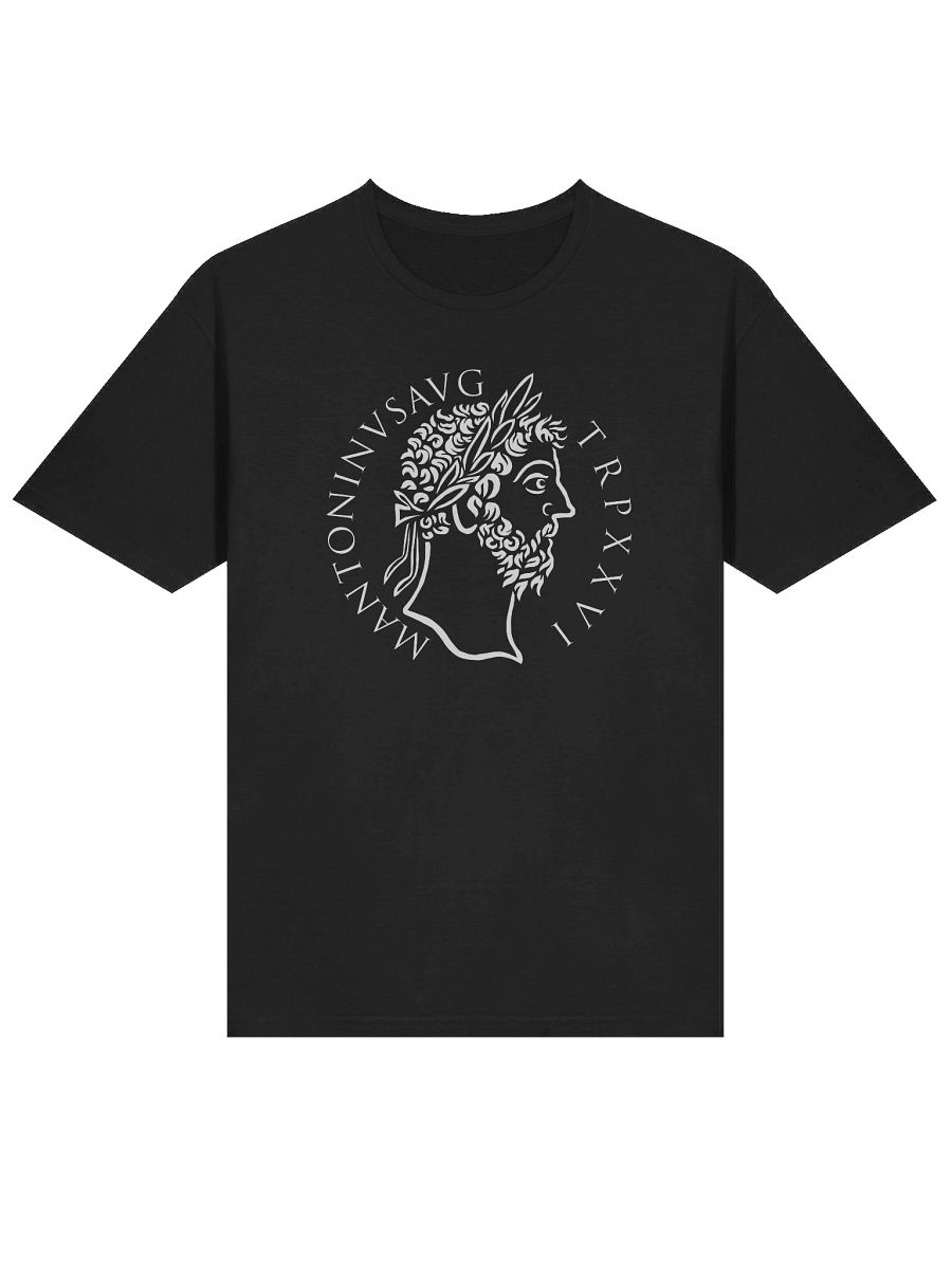 Marcus Aurelius Aureus product image (12)